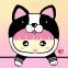 Pink QQ Girl