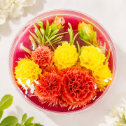 果凍花, 3D晶彩藝術果凍花, 童話烘焙坊