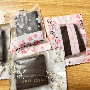 布朗尼, 縫雁藝術工作室